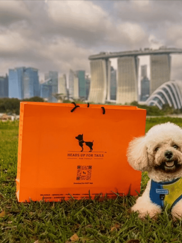 Heads Up For Tails Franchise India 2025 – Cost, ROI & How to Apply